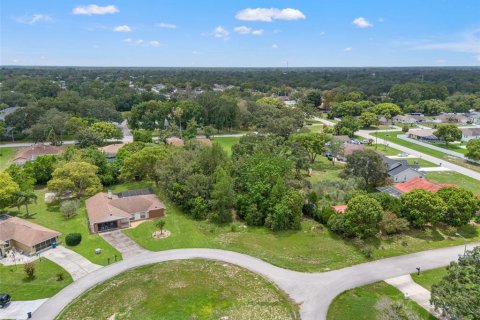 Land in Spring Hill, Florida № 2267163 - photo 9