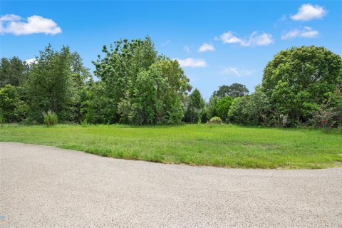 Land in Spring Hill, Florida № 2267163 - photo 19