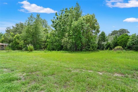 Land in Spring Hill, Florida № 2267163 - photo 23