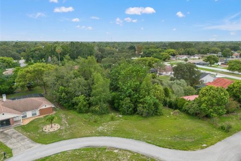 Land in Spring Hill, Florida № 2267163 - photo 12