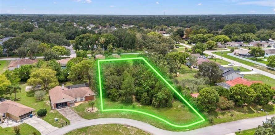 Land in Spring Hill, Florida № 2267163