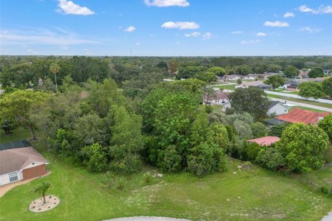 Land in Spring Hill, Florida № 2267163 - photo 6