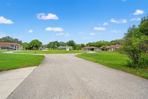 Land in Spring Hill, Florida № 2267163 - photo 24