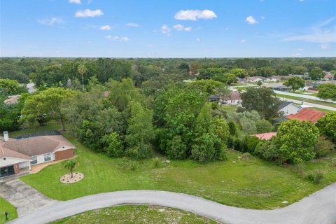 Land in Spring Hill, Florida № 2267163 - photo 7