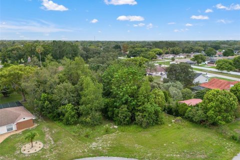 Land in Spring Hill, Florida № 2267163 - photo 11