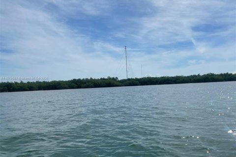 Купить коммерческую недвижимость в Марафон, Флорида № 2021533 - фото 2