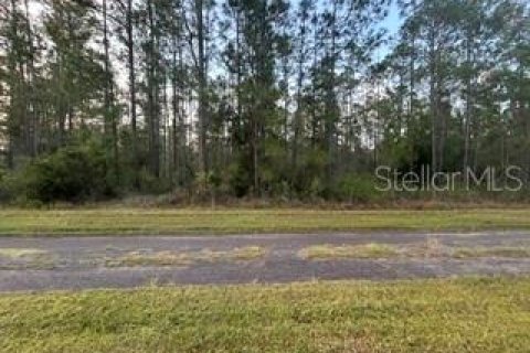 Land in Indian lake estates, Florida № 2161500