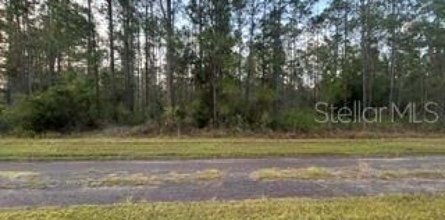 Land in Indian lake estates, Florida № 2161500