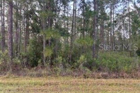 Land in Indian lake estates, Florida № 2161500 - photo 2