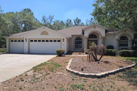 House in Weeki Wachee, Florida 3 bedrooms, 197.7 sq.m. № 2211242