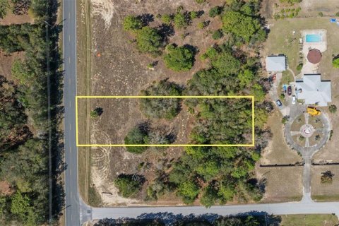 Land in Homosassa, Florida № 1336449 - photo 2