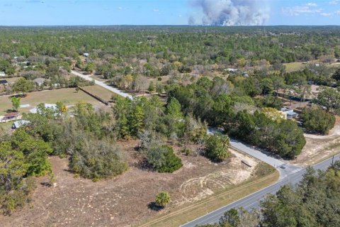 Land in Homosassa, Florida № 1336449 - photo 8