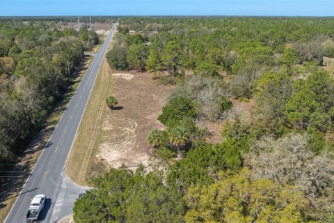 Land in Homosassa, Florida № 1336449 - photo 4