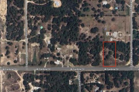 Land in Homosassa, Florida № 1336449 - photo 9
