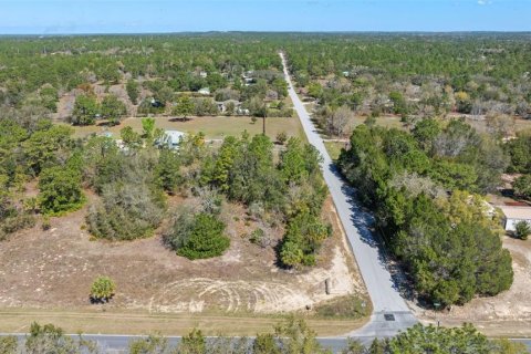 Land in Homosassa, Florida № 1336449 - photo 5