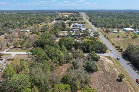 Land in Homosassa, Florida № 1336449 - photo 7