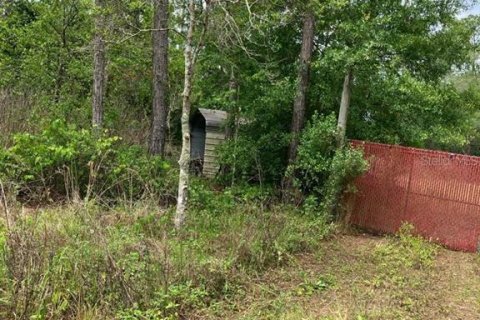 Land in Hastings, Florida № 1679641 - photo 2