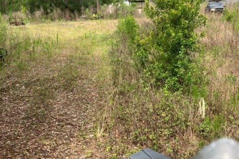 Land in Hastings, Florida № 1679641 - photo 1