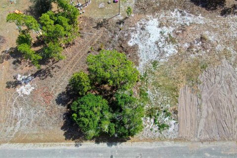 Land in Lehigh Acres, Florida № 2224477 - photo 5
