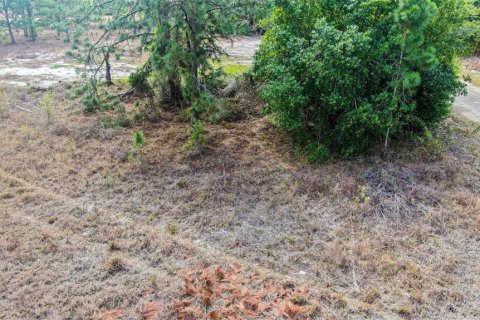 Land in Lehigh Acres, Florida № 2224477 - photo 10