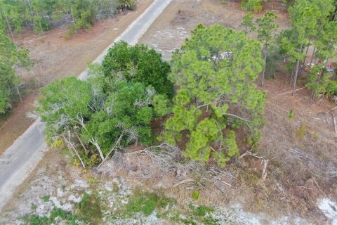 Land in Lehigh Acres, Florida № 2224477 - photo 14
