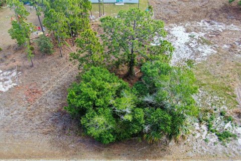 Land in Lehigh Acres, Florida № 2224477 - photo 16