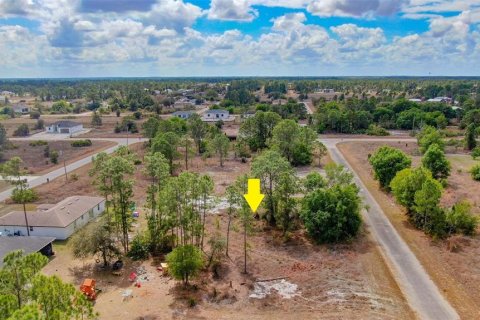 Land in Lehigh Acres, Florida № 2224477