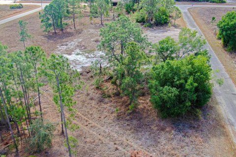 Land in Lehigh Acres, Florida № 2224477 - photo 3