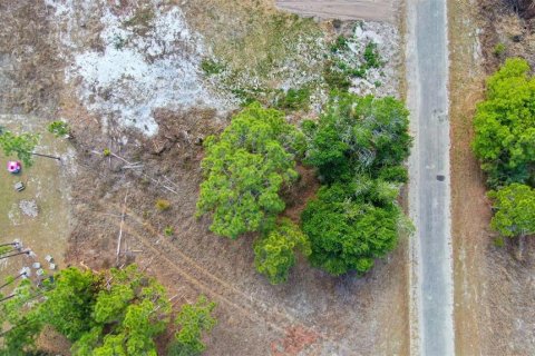 Land in Lehigh Acres, Florida № 2224477 - photo 4