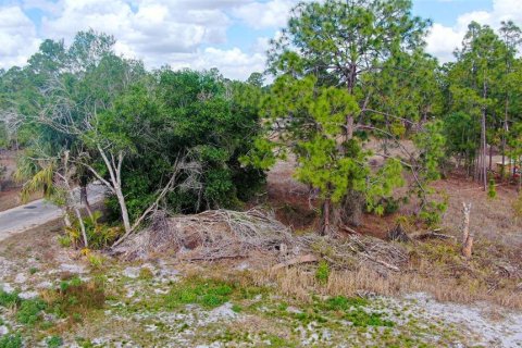 Land in Lehigh Acres, Florida № 2224477 - photo 13