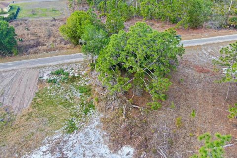 Land in Lehigh Acres, Florida № 2224477 - photo 15
