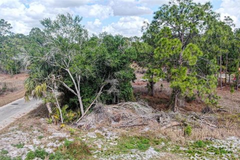 Land in Lehigh Acres, Florida № 2224477 - photo 12