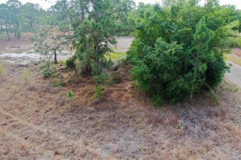 Land in Lehigh Acres, Florida № 2224477 - photo 11