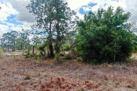 Land in Lehigh Acres, Florida № 2224477 - photo 9