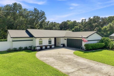 Villa ou maison à Tampa, Floride 3 chambres, 167.97 m2 № 2302698