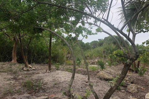 Terreno en venta en Port Charlotte, Florida № 251613 - foto 8