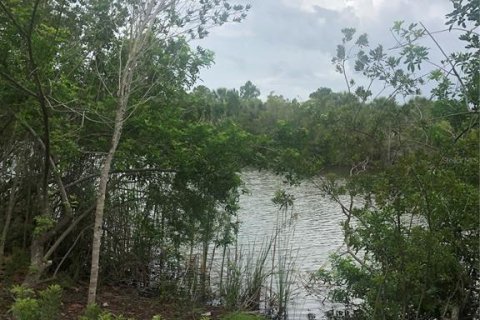 Terreno en venta en Port Charlotte, Florida № 251613 - foto 7