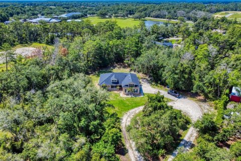 Villa ou maison à vendre à Deltona, Floride: 4 chambres, 211.45 m2 № 2148402 - photo 3