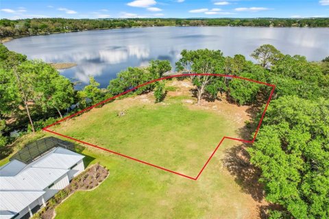 Land in Groveland, Florida № 1740247 - photo 2