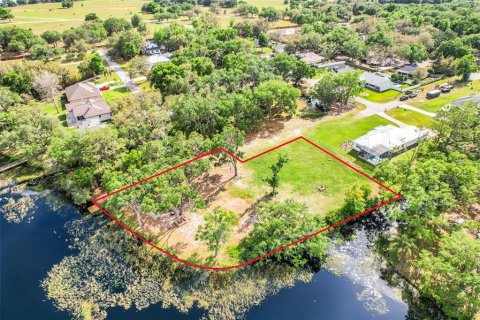 Land in Groveland, Florida № 1740247 - photo 7