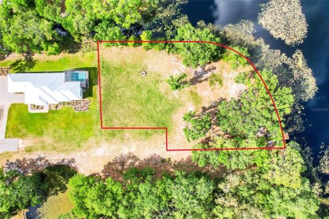Land in Groveland, Florida № 1740247 - photo 10