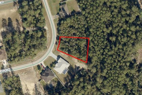Land in Ocala, Florida № 1675206 - photo 6