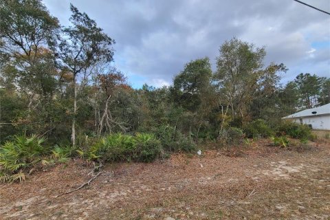 Land in Ocala, Florida № 1675206 - photo 2