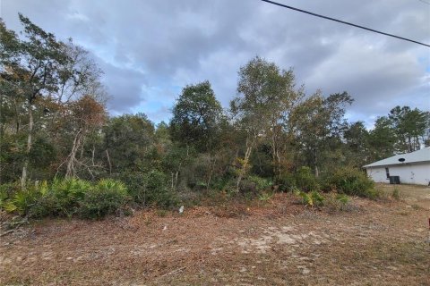 Land in Ocala, Florida № 1675206 - photo 1