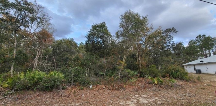 Land in Ocala, Florida № 1675206