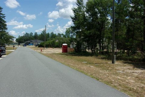 Terreno en venta en Ocala, Florida № 2145054 - foto 2