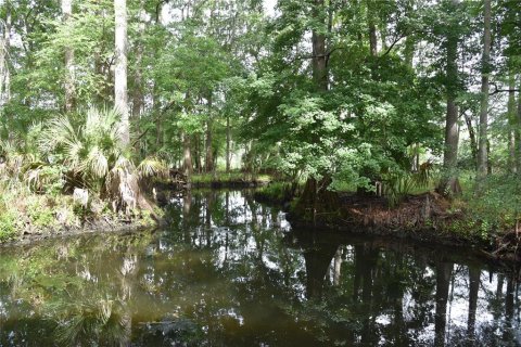 Villa ou maison à vendre à Chiefland, Floride: 2 chambres, 267 m2 № 2236005 - photo 11