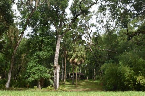 Villa ou maison à vendre à Chiefland, Floride: 2 chambres, 267 m2 № 2236005 - photo 4