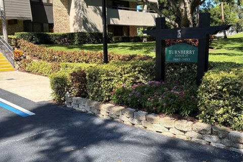 Condo à Palm Harbor, Floride, 2 chambres № 2381175