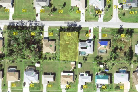 Land in Port Charlotte, Florida № 2239883